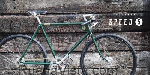 Pashley Speed 5 ficha técnica y opiniones